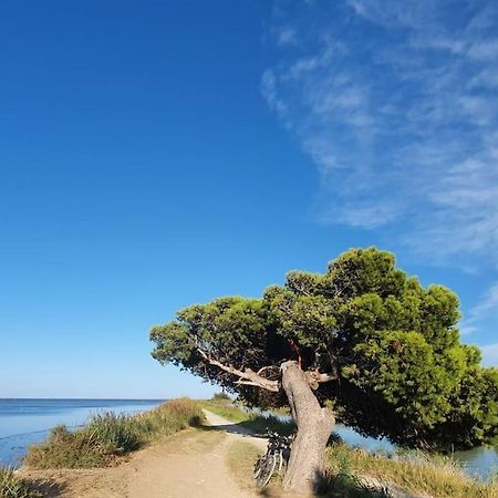 T2 Cosy A La Plage, Terrasse Vue Sur Mer Et Parking Privatif Narbonne Bagian luar foto