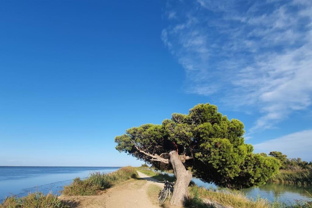 T2 Cosy A La Plage, Terrasse Vue Sur Mer Et Parking Privatif Narbonne Bagian luar foto